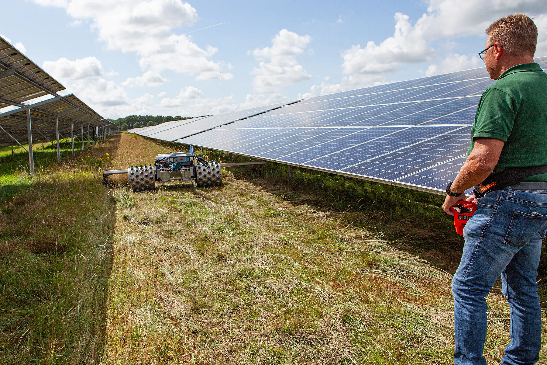 Landwirtschaft im Solarpark